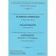 Galantmazur
