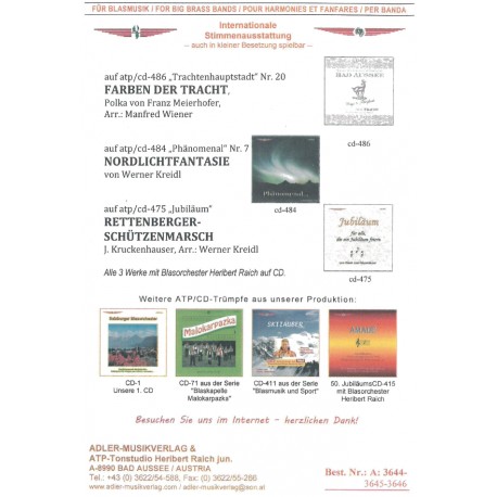 Nordlichtfantasie